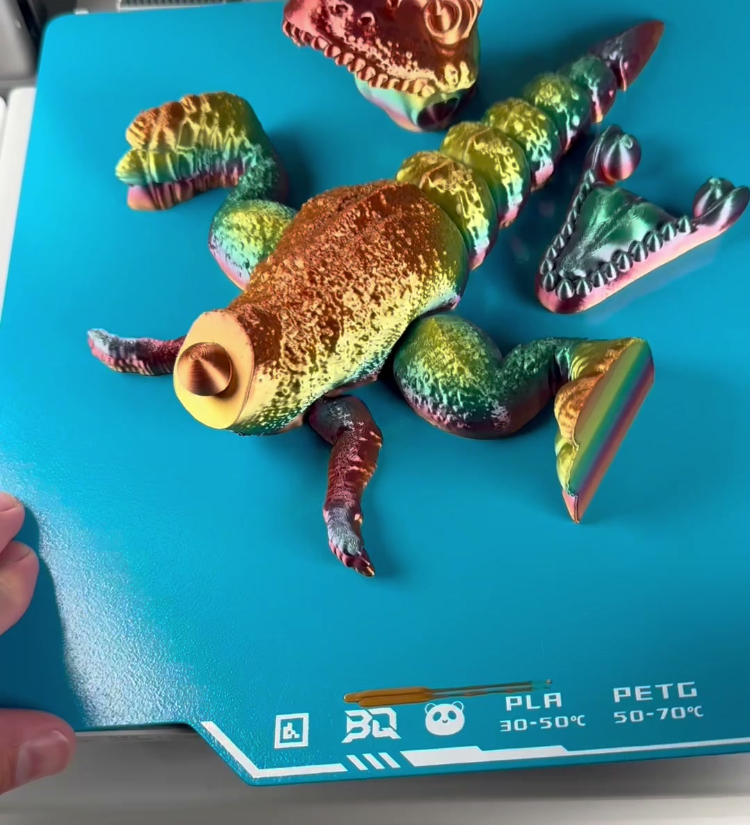 Multicolor articulated dragon